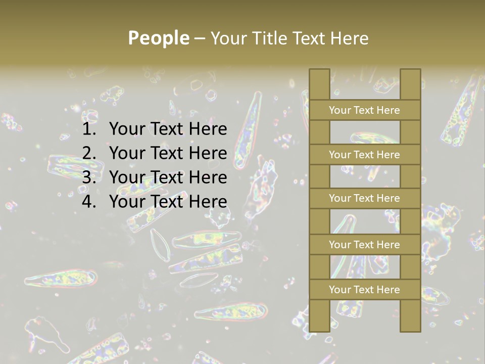 Mixed Diatoms From A Small Creek. This Image Has Been Enhanced With A Density Color Conversion Algorithm To Accentuate Internal Structure. Magnification 400X PowerPoint Template