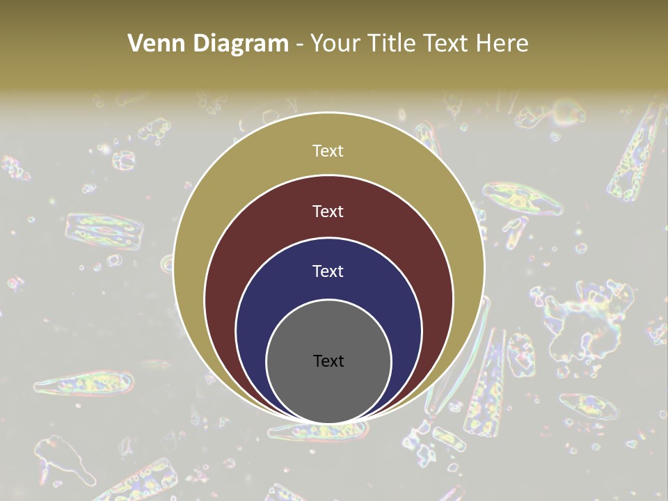 Mixed Diatoms From A Small Creek. This Image Has Been Enhanced With A Density Color Conversion Algorithm To Accentuate Internal Structure. Magnification 400X PowerPoint Template