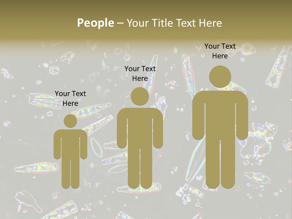 Mixed Diatoms From A Small Creek. This Image Has Been Enhanced With A Density Color Conversion Algorithm To Accentuate Internal Structure. Magnification 400X PowerPoint Template