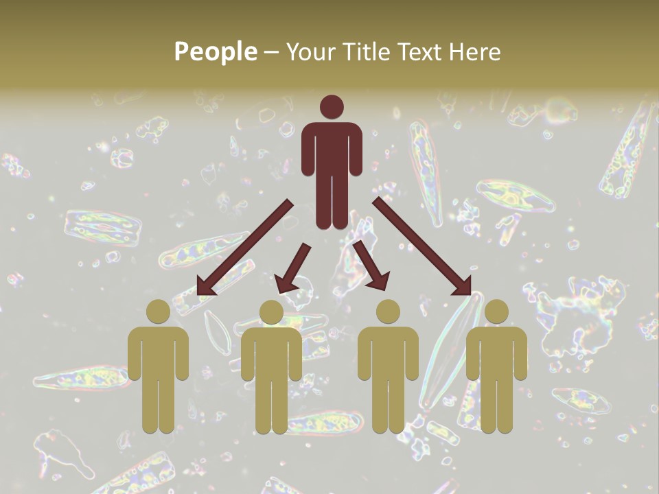 Mixed Diatoms From A Small Creek. This Image Has Been Enhanced With A Density Color Conversion Algorithm To Accentuate Internal Structure. Magnification 400X PowerPoint Template