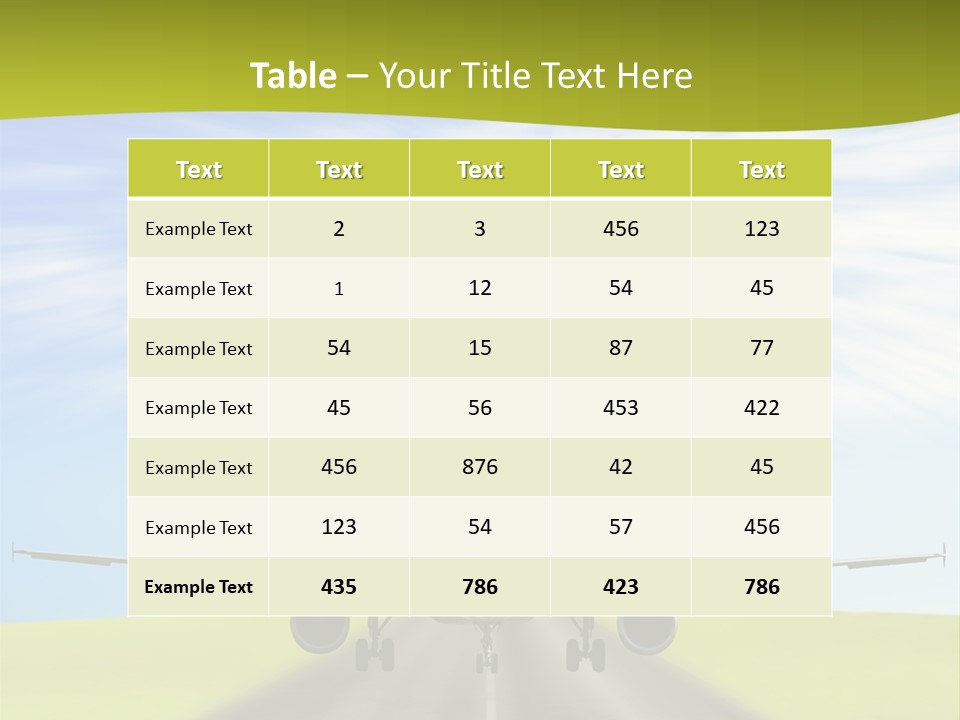 Plane On A Runway PowerPoint Template