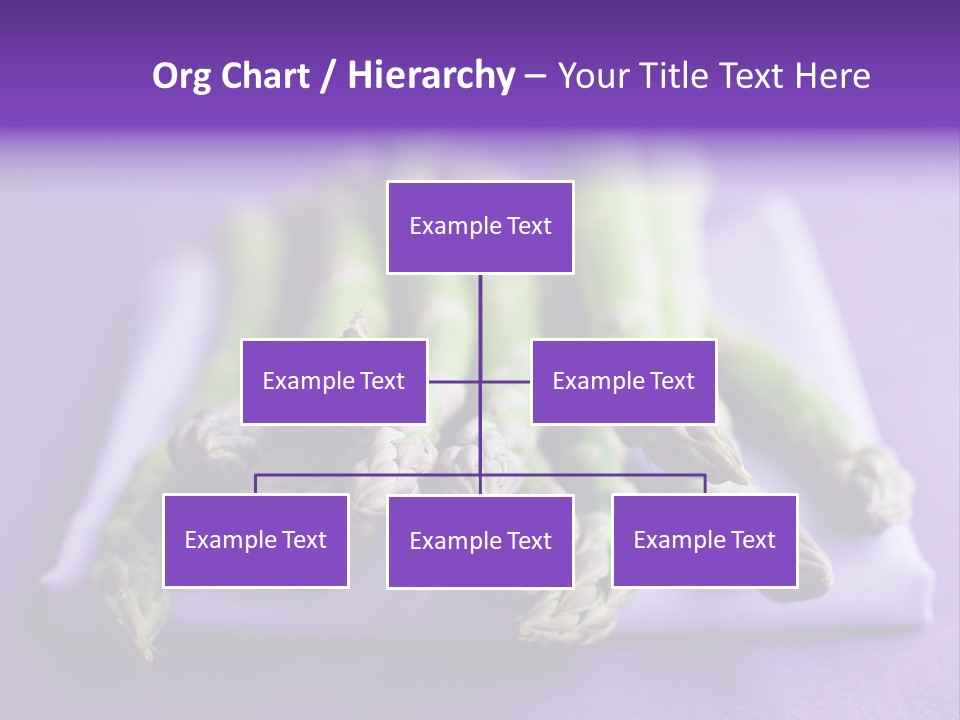 Fresh Green Asparagus PowerPoint Template