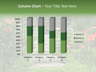 A Beautiful Nature Path Through A Garden. PowerPoint Template