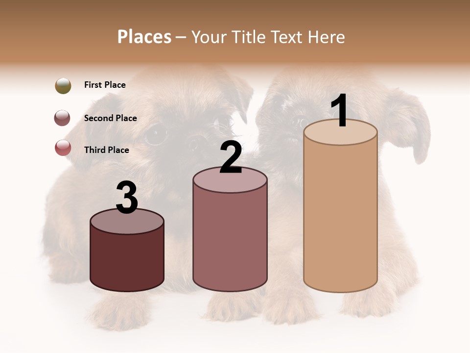 Griffon Puppy Isolated On White PowerPoint Template