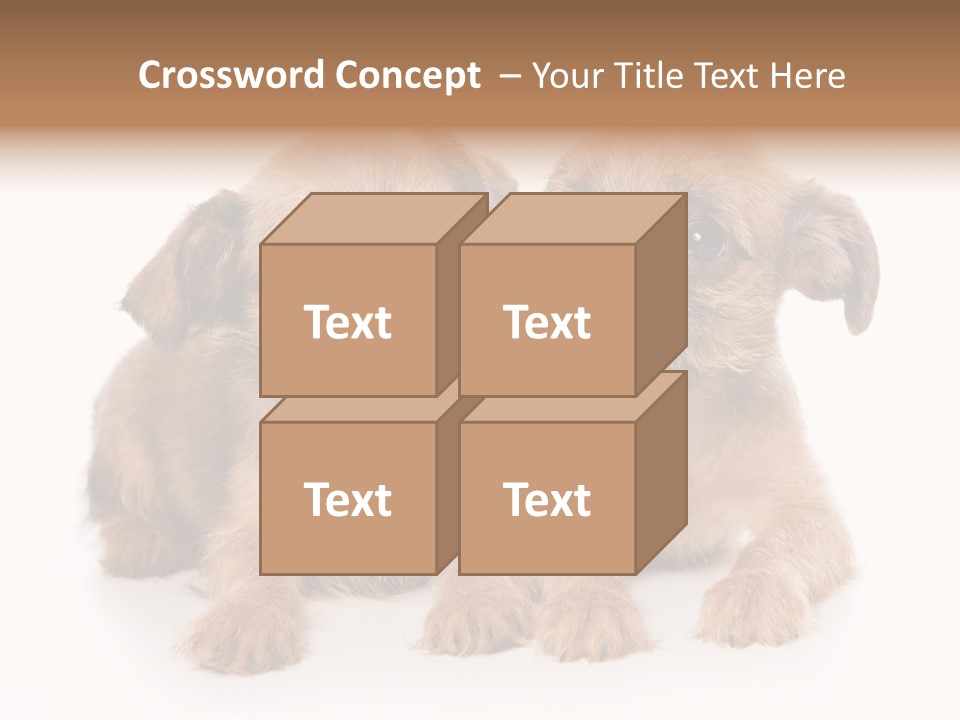 Griffon Puppy Isolated On White PowerPoint Template