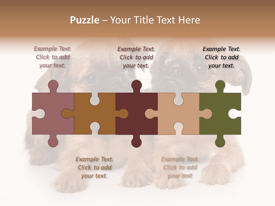 Griffon Puppy Isolated On White PowerPoint Template