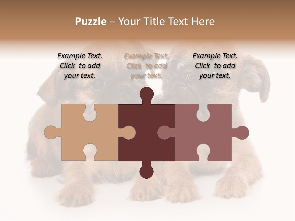 Griffon Puppy Isolated On White PowerPoint Template