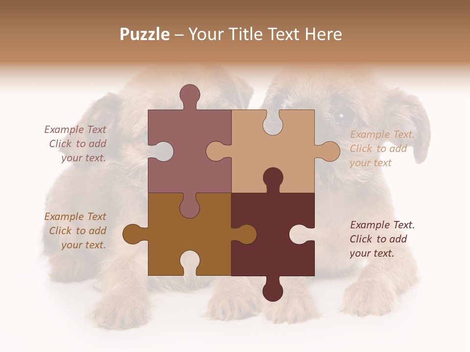 Griffon Puppy Isolated On White PowerPoint Template