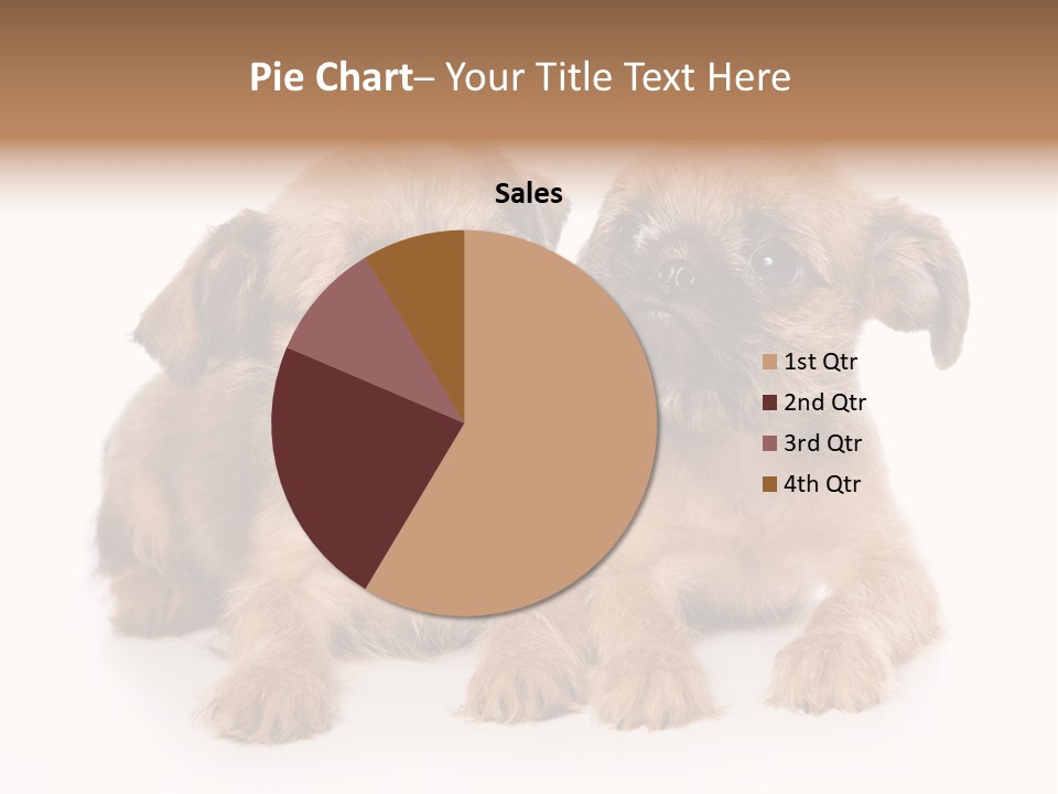 Griffon Puppy Isolated On White PowerPoint Template