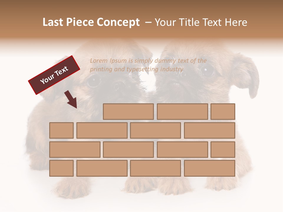 Griffon Puppy Isolated On White PowerPoint Template