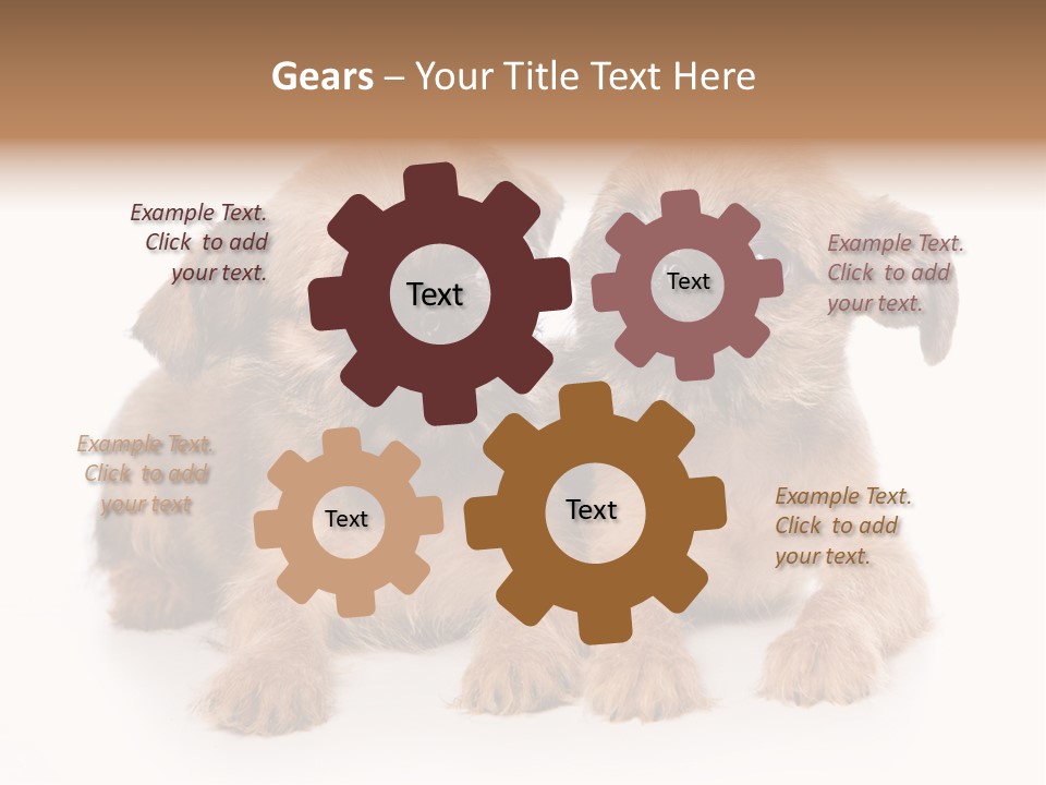 Griffon Puppy Isolated On White PowerPoint Template