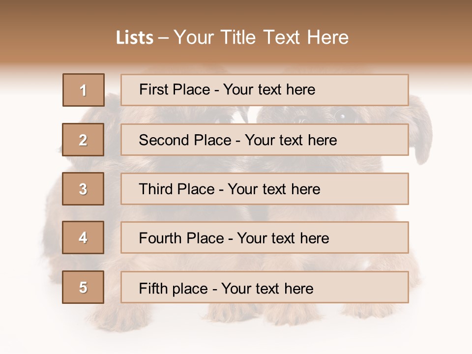 Griffon Puppy Isolated On White PowerPoint Template