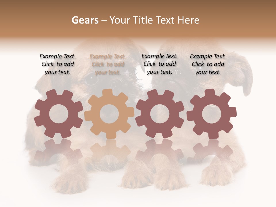 Griffon Puppy Isolated On White PowerPoint Template