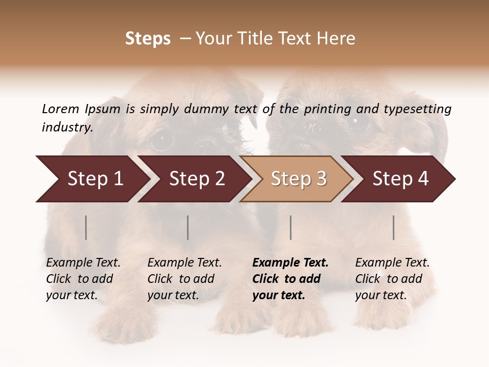 Griffon Puppy Isolated On White PowerPoint Template