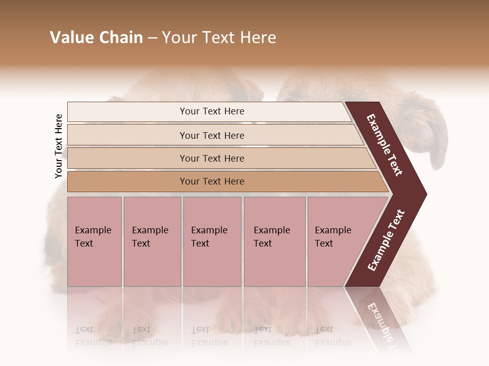 Griffon Puppy Isolated On White PowerPoint Template