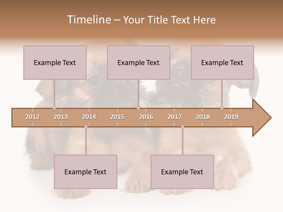 Griffon Puppy Isolated On White PowerPoint Template