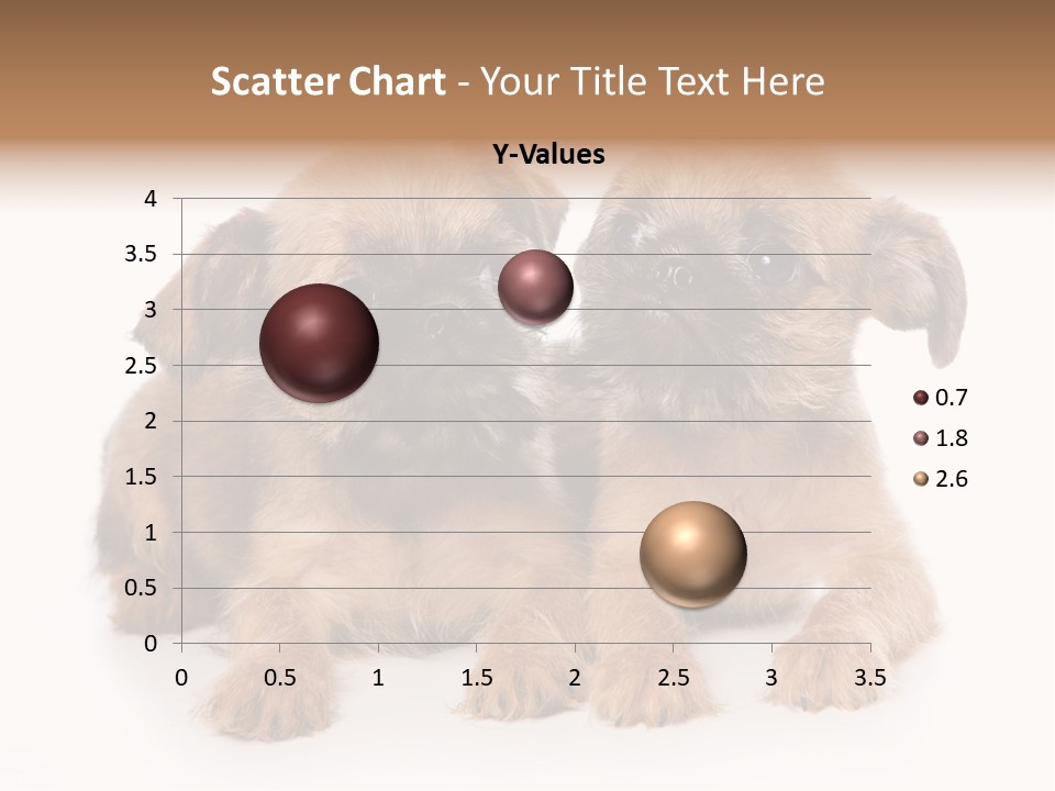 Griffon Puppy Isolated On White PowerPoint Template