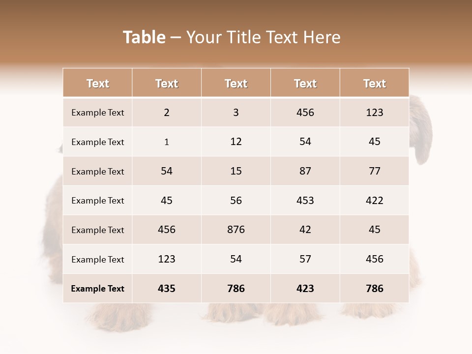 Griffon Puppy Isolated On White PowerPoint Template