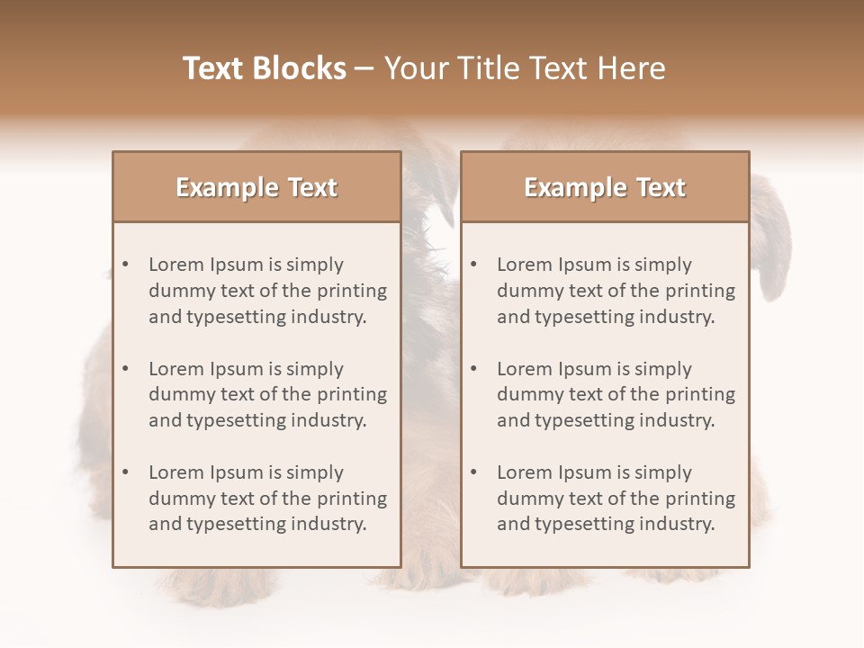 Griffon Puppy Isolated On White PowerPoint Template