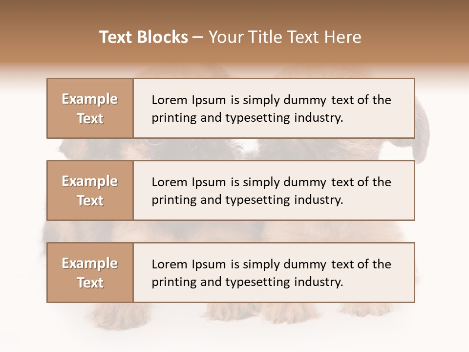 Griffon Puppy Isolated On White PowerPoint Template