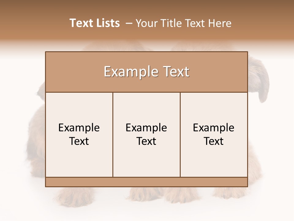 Griffon Puppy Isolated On White PowerPoint Template