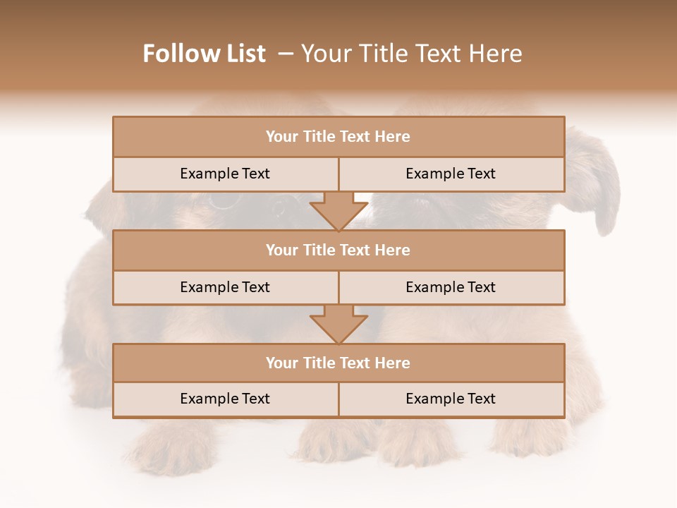 Griffon Puppy Isolated On White PowerPoint Template