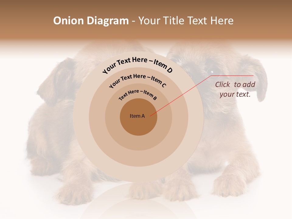 Griffon Puppy Isolated On White PowerPoint Template