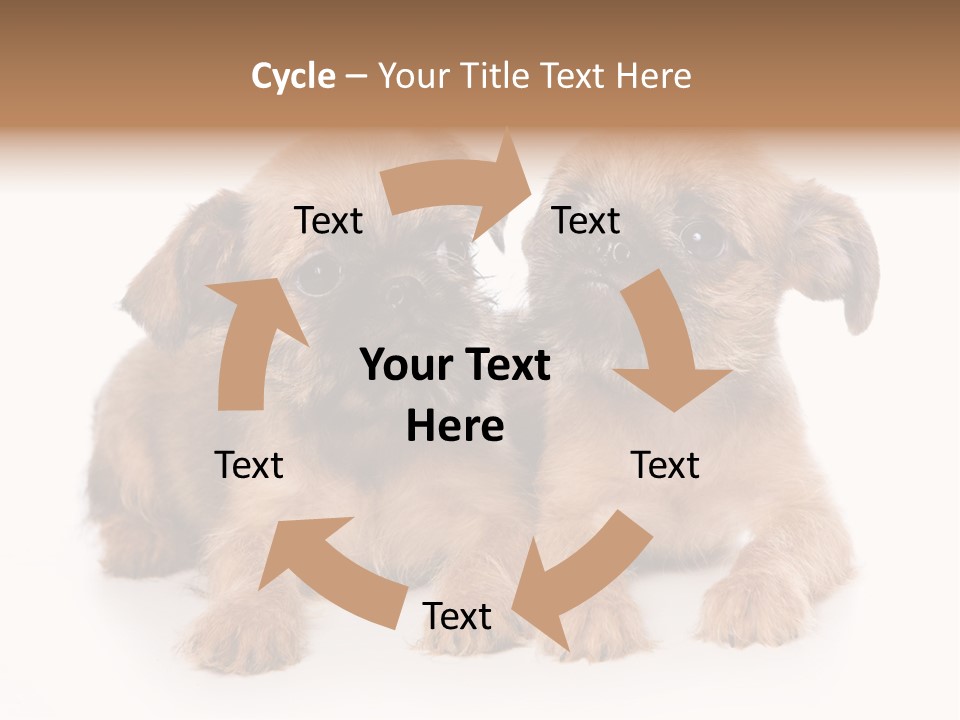 Griffon Puppy Isolated On White PowerPoint Template