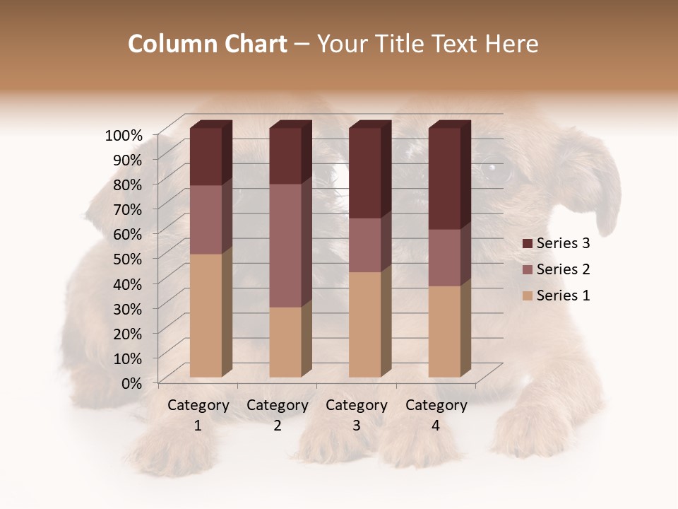 Griffon Puppy Isolated On White PowerPoint Template