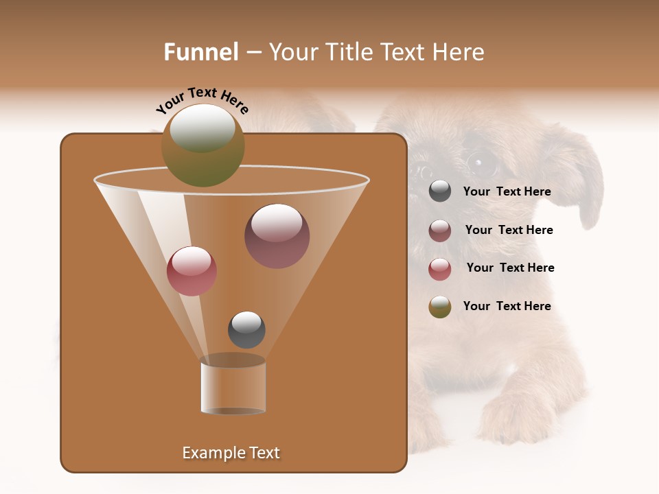 Griffon Puppy Isolated On White PowerPoint Template