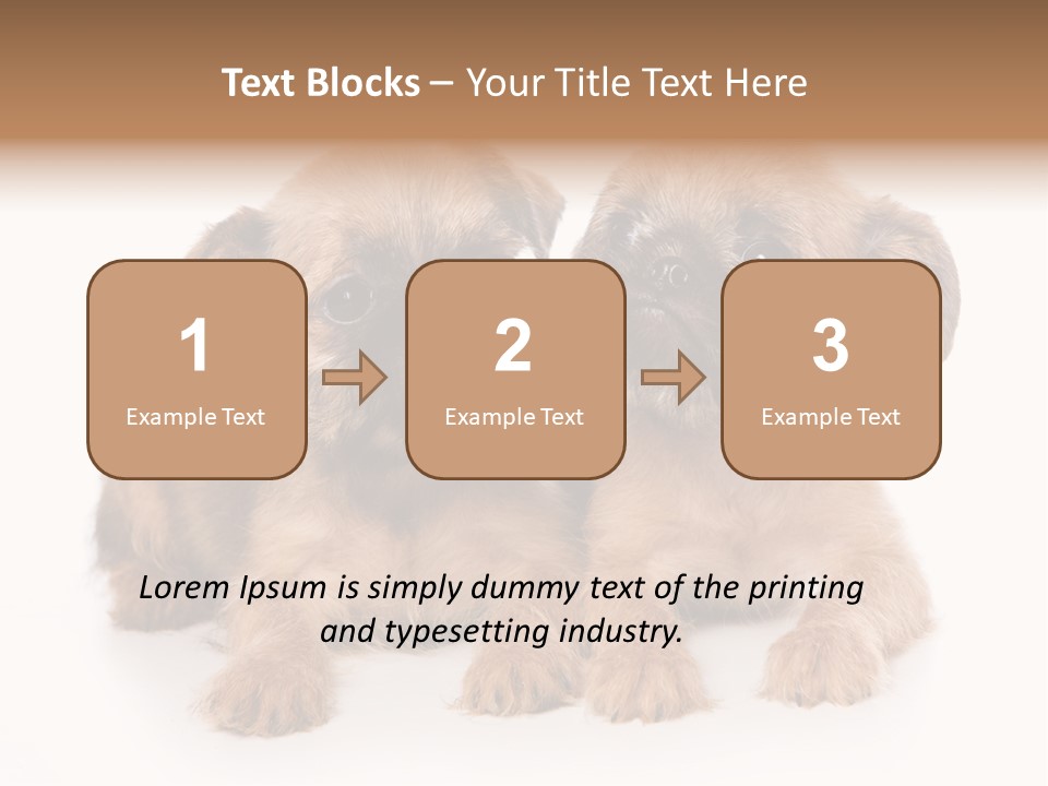 Griffon Puppy Isolated On White PowerPoint Template