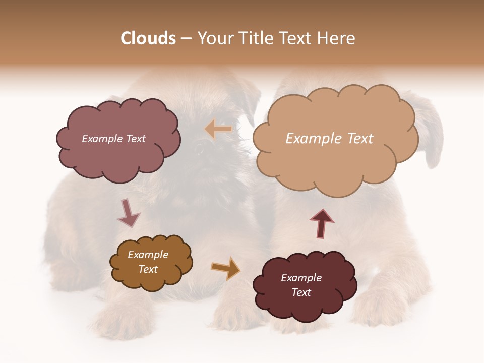 Griffon Puppy Isolated On White PowerPoint Template