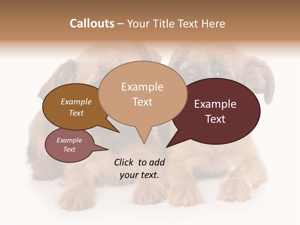 Griffon Puppy Isolated On White PowerPoint Template