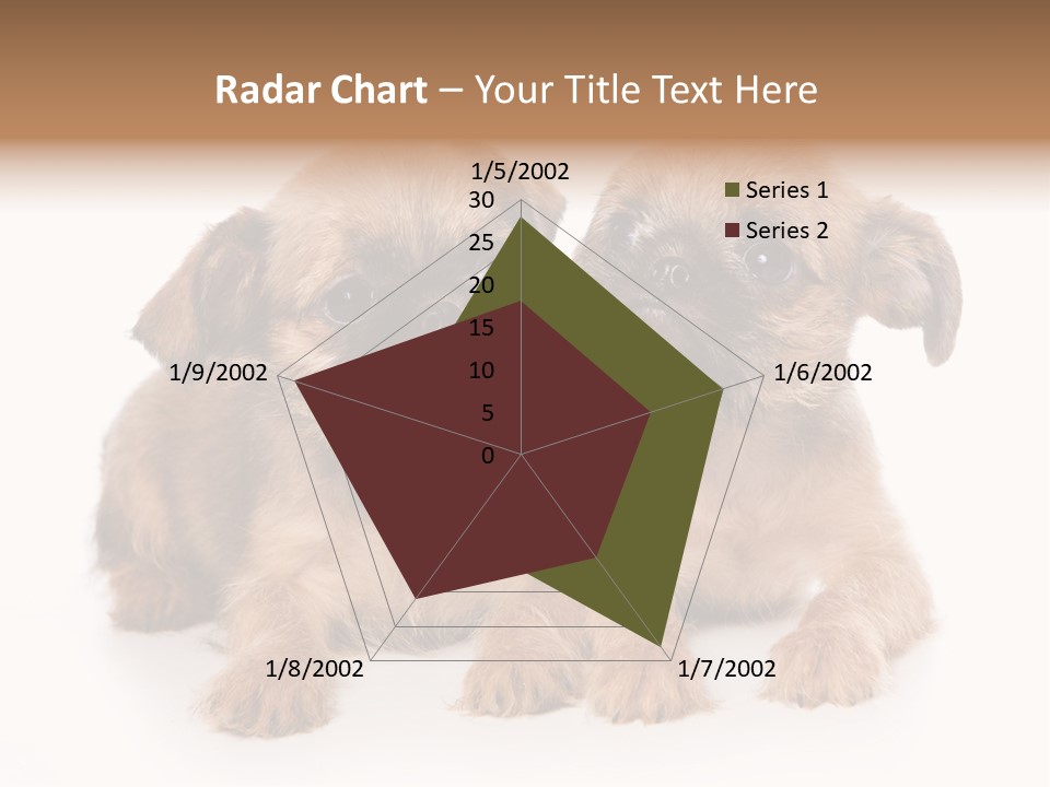 Griffon Puppy Isolated On White PowerPoint Template