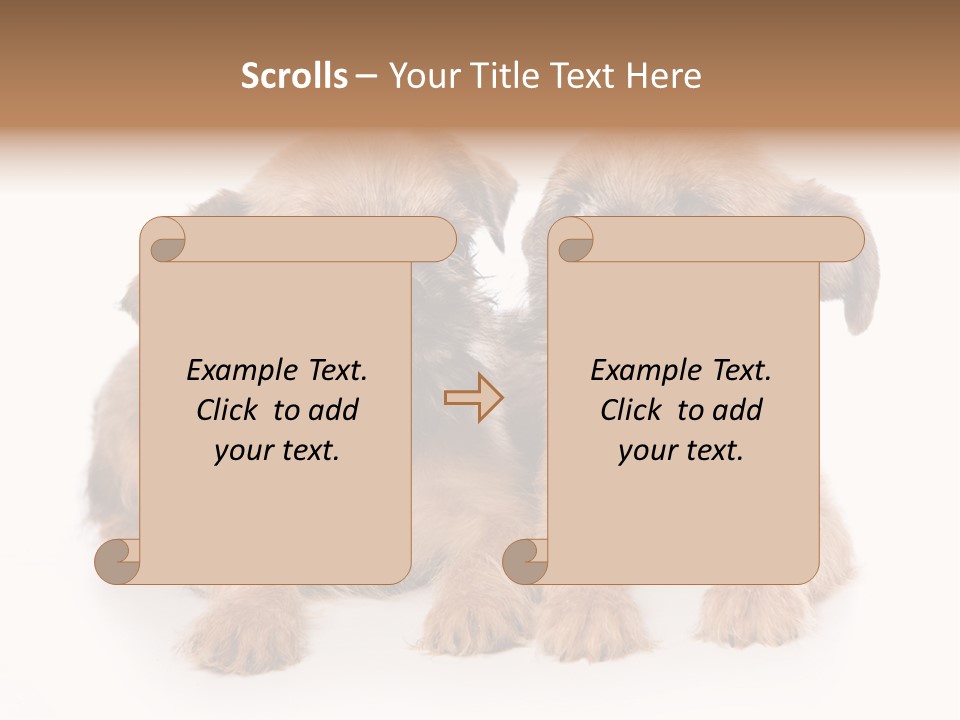 Griffon Puppy Isolated On White PowerPoint Template