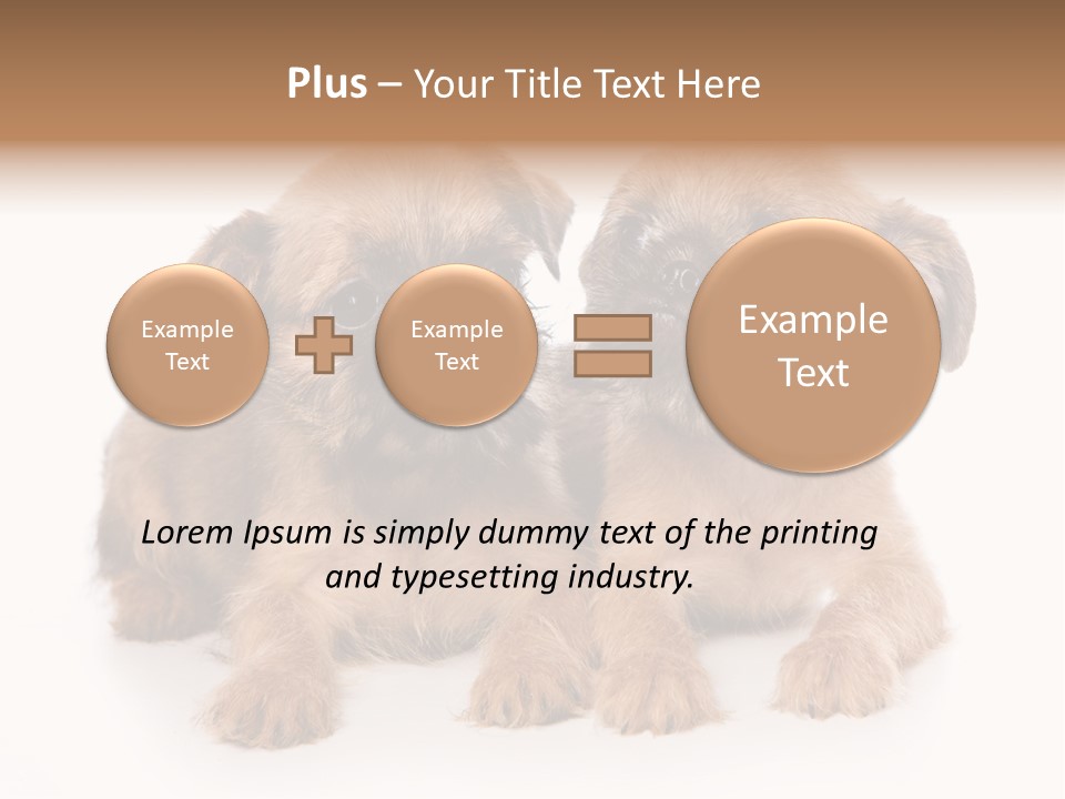 Griffon Puppy Isolated On White PowerPoint Template