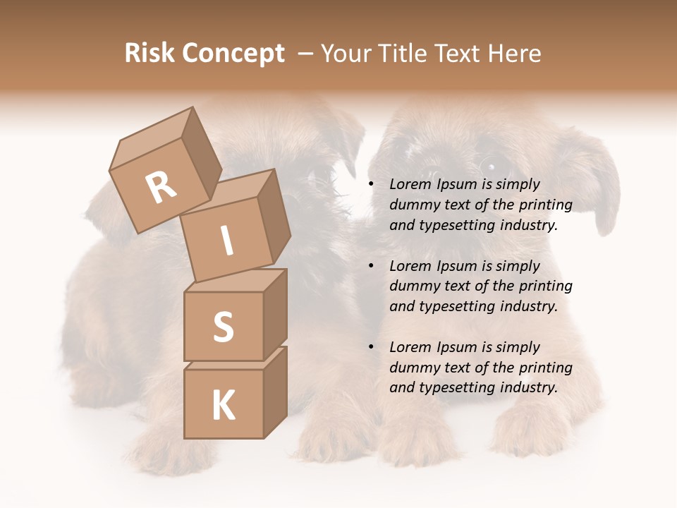 Griffon Puppy Isolated On White PowerPoint Template