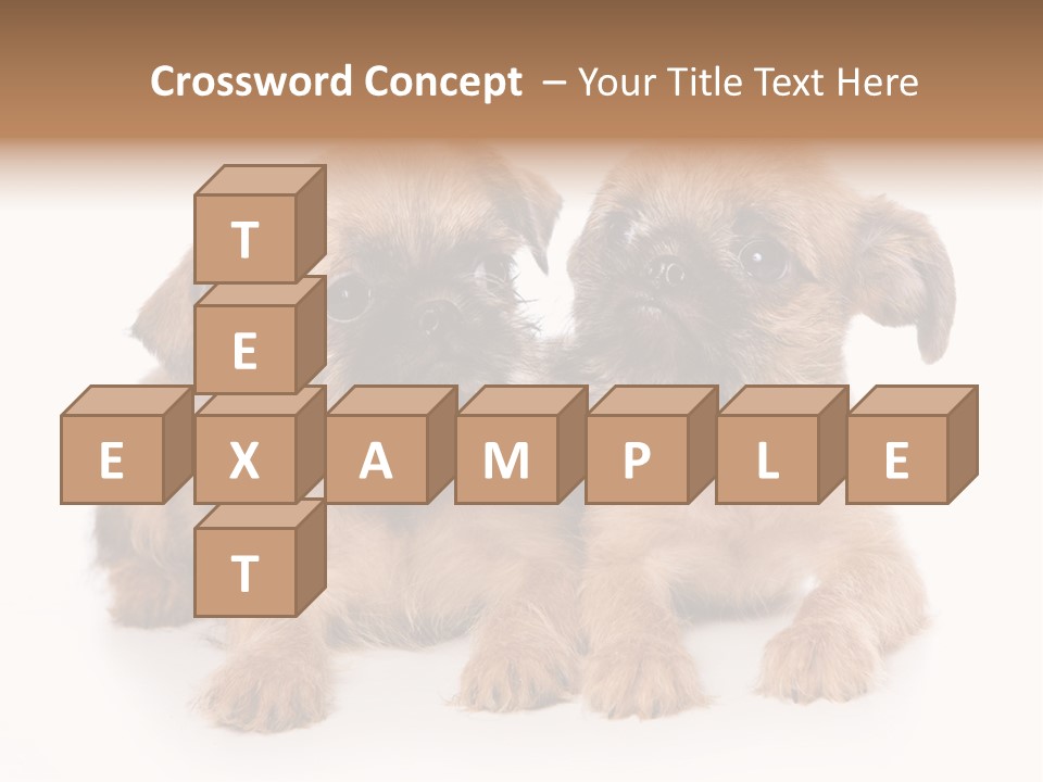 Griffon Puppy Isolated On White PowerPoint Template