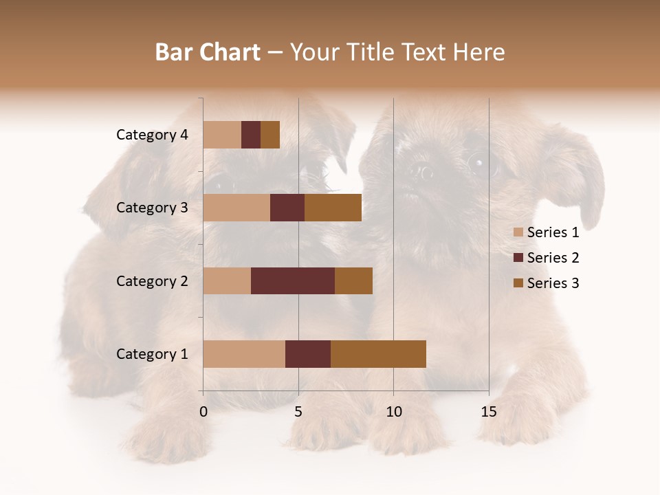 Griffon Puppy Isolated On White PowerPoint Template