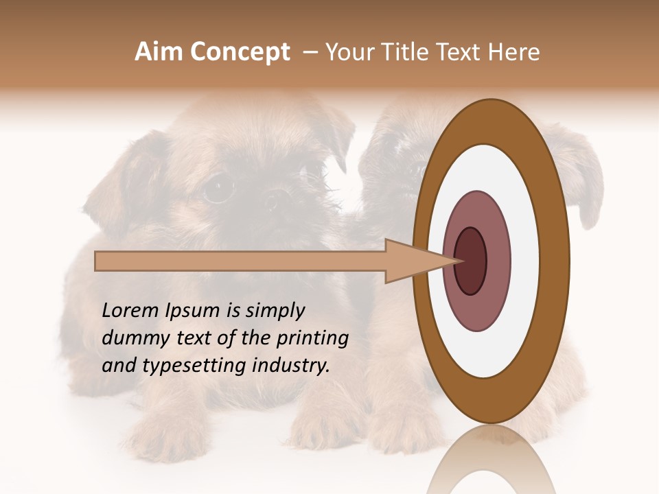 Griffon Puppy Isolated On White PowerPoint Template