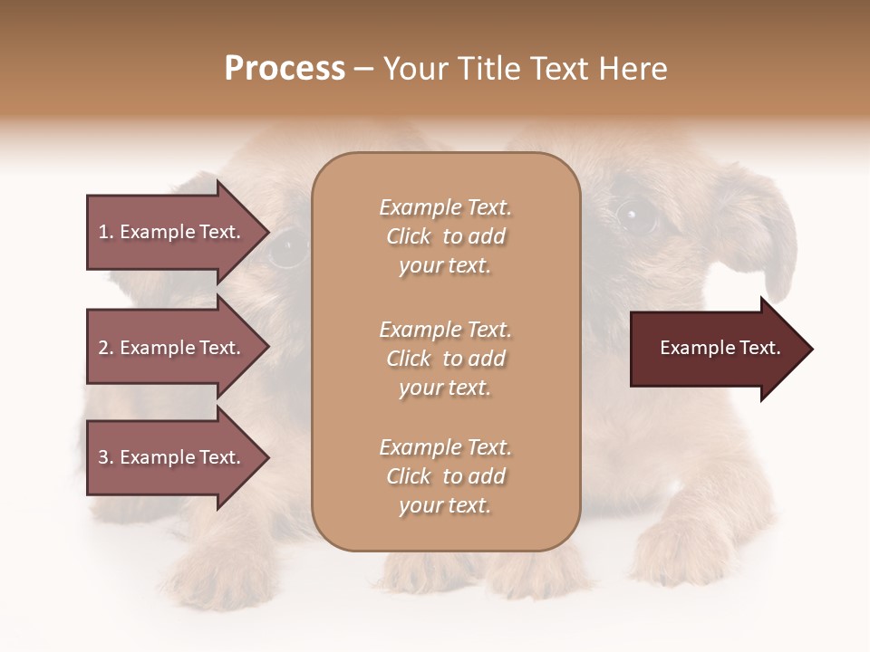 Griffon Puppy Isolated On White PowerPoint Template