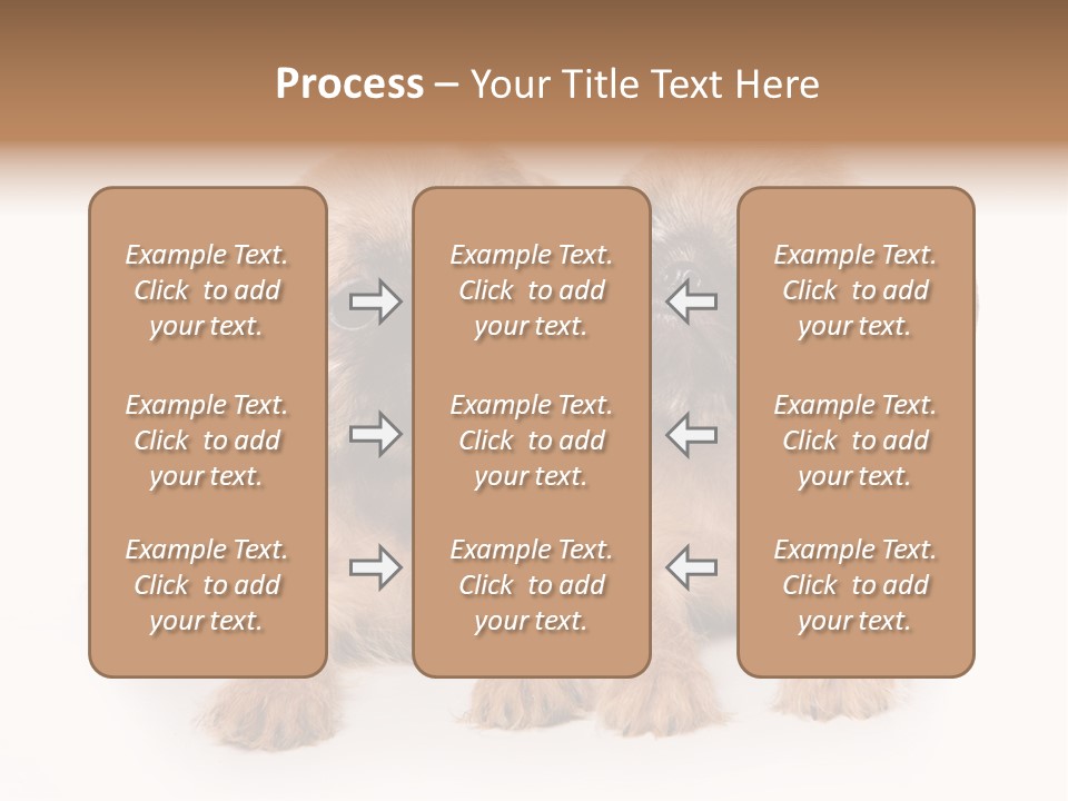 Griffon Puppy Isolated On White PowerPoint Template