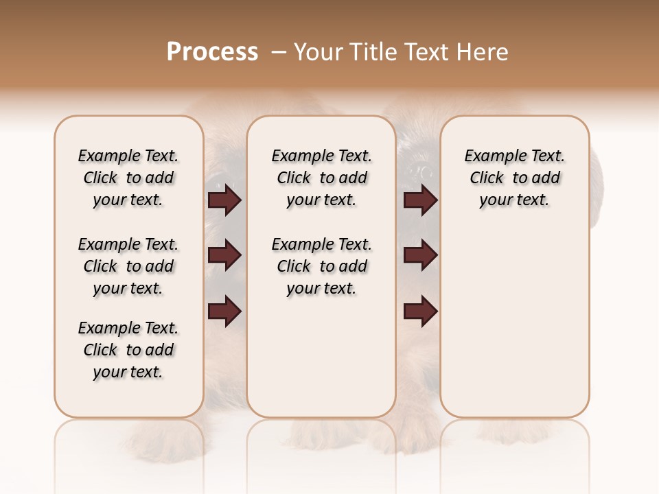 Griffon Puppy Isolated On White PowerPoint Template