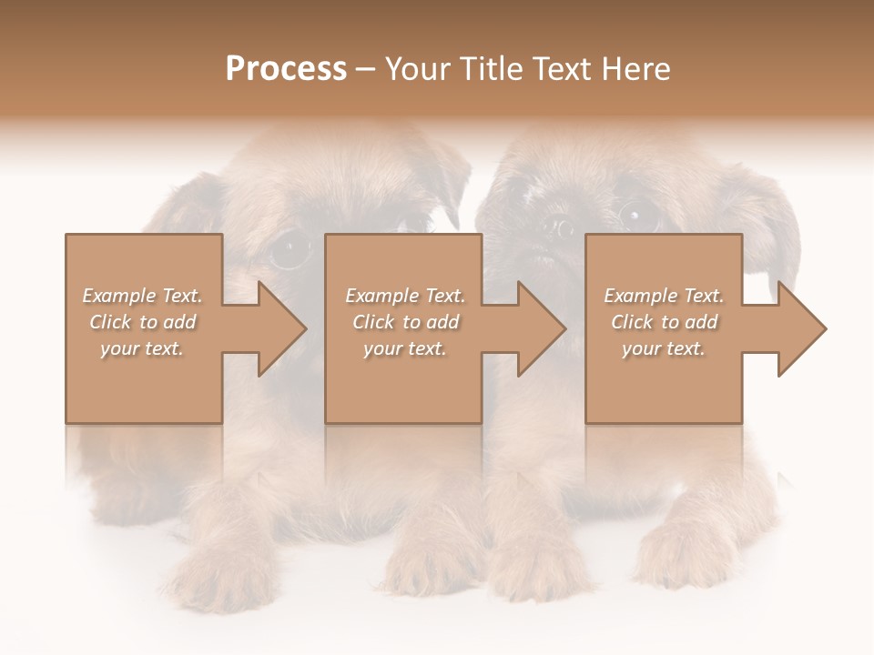 Griffon Puppy Isolated On White PowerPoint Template