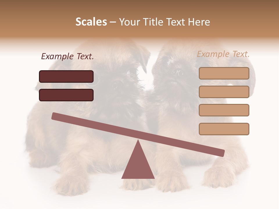 Griffon Puppy Isolated On White PowerPoint Template