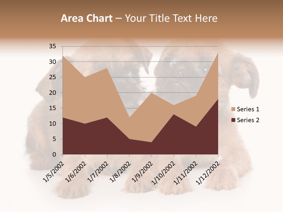 Griffon Puppy Isolated On White PowerPoint Template