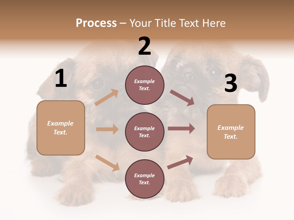 Griffon Puppy Isolated On White PowerPoint Template