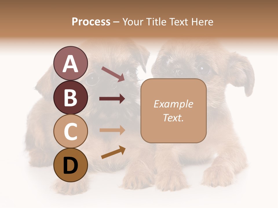 Griffon Puppy Isolated On White PowerPoint Template