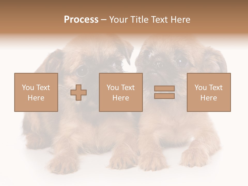 Griffon Puppy Isolated On White PowerPoint Template