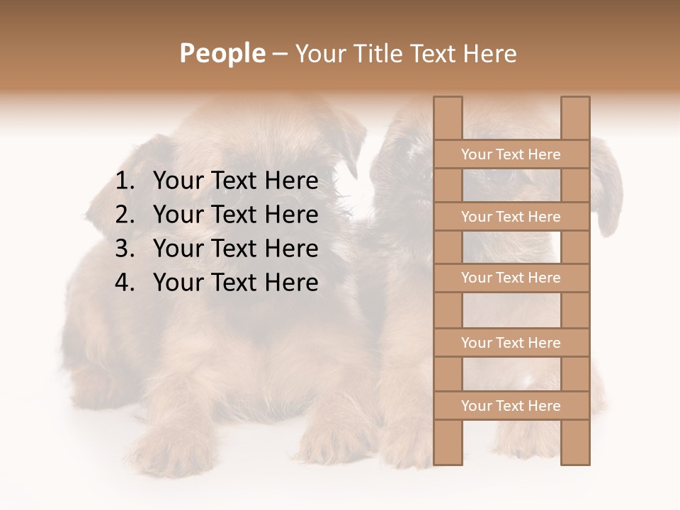 Griffon Puppy Isolated On White PowerPoint Template